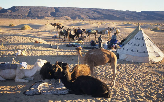 من مصر إلى المغرب.. اكتشفوا أكثر التجارب متعة في صحاري إفريقيا صورة رقم 7