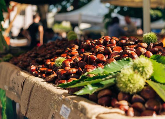 رقصات الحقول وأغاني المهرجانات: خريف أوروبا الساحر بالصور صورة رقم 5