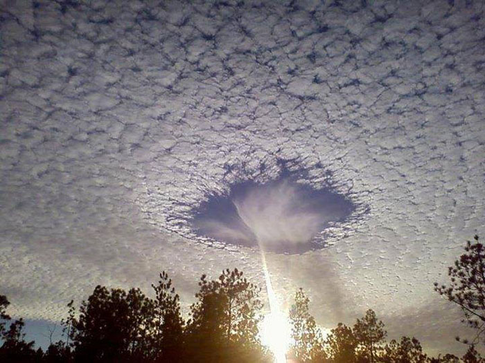    -    fallstreak        