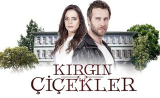   2 KIRGIN CICEKLER